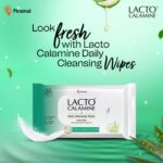 Lacto Calamine Daily Cleansing Face Wipes 25N Each - Pack of 2 | Makeup Remover Wipes | Wet Tissue for Face with Aloe Vera, Cucumber & Vitamin E | Wet Wipes for Women & Men | Paraben & Alcohol Free - Image 3