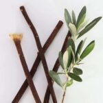 Zaitoon Olive Herbal Miswak Natural Toothbrush Sticks | Pack of 3 | For Plaque Removal | Eco Friendly Chewing Sticks | Manual | Healthy Toothbrush (Black) - Image 3