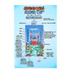 Treasure Tree Educational Smart Interactive Prayer Mat | Fun Easy Learning Tool | Islamic Gift for Boys & Girls | Interactive Muslim Prayer Rug (Now in India) - Image 4