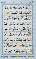 Para Set 30 Juz – 9 Line Quran (Ref. 550) | Colour Coded Tajweed Rules | Arabic Only | Individual Juz Books | Hifz & Quran Learning - Image 4