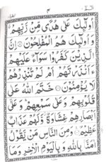 Quran 30 Para Set with Carry Pouch Bag | Pocket Size Islamic Holy Book | Individual Juz Format for Easy Reading & Recitation - Image 3