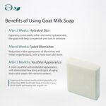 Alnisa No Fragrance Goat Milk Handmade Soap For Hajj & Umrah Hajj And Umrah Accessories, 100% Natural, Set Of 2, 100Gm Each X 2 - Image 4