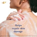 Dove Serum Bar | with Pro-Ceramide Serum | Sensitive Care | 375g (125g x 3) - Image 5