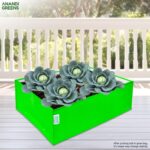 Anandi Green's Premium HDPE UV Protected 260 GSM Square Shaped Green Colour Plants Grow Bags Suitable for Terrace and Vegetable Gardening (Pack of 2, 24X18X9 INCH) - Image 4
