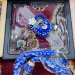 RBLISS CG Beautiful Finger Tasbeeh Counter | Premium Digital Tally Counter and IIMPORTED Beads tasbih for Prayer/Islamic Tasbih Muslim | Mantra jaap | Pack of 2/Gift Set - Image 7