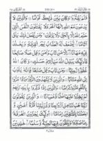 Quran Ref. 23 SA (South African) Indo-Pak script | 13 Lines with additional pages on Tajweed Rules (Green) - Image 3
