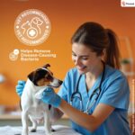 Pet Wipes for Dogs & Cats | 160 Count | 80 x Pack of 2 | Vet Recommended Grooming Wipes |Alcohol-Free Wet Wipes for Cats & Dogs|Pets Dry Bathing, Paw Cleaning| Aloe Vera, Jojoba Oil, Vitamin E - Image 3