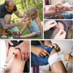 First Aid Kit - Small Waterproof Hard Shell Medical Kit for Car, Home, Travel, Camping & Emergencies - Compact 8.2"x5.3"x3.1" EVA Survival Kit with Essential Supplies (Empty) - Image 6