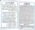 The Holy Quran: Best Quality, 15 line Hafzi, semi small size, Double color, Butter Quality Paper, 20/14 cm - Image 6