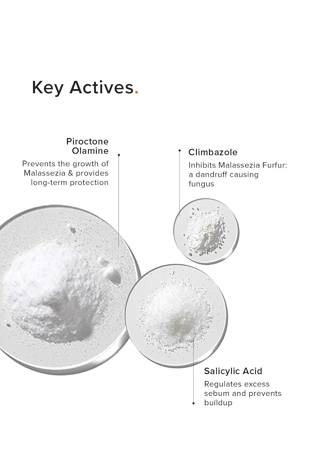 Minimalist Anti-Dandruff Shampoo | Clarifying Shampoo with 2% Salicylic Acid, Climbazole & Piroctone Olamine | Remove Flakes, Soothes Itchy Scalp & Reduces Dandruff | Sulphate-Free | Fragrance-Free | Suitable for All Hair Types | For Women & Men | 100 ml - Image 5