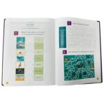 The Clear Quran® Tafsir For Kids - Surahs 1-9 PaperBack - Image 5