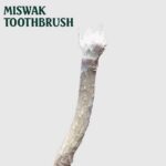 Natural Herbal Miswak stick/Datun Natural Toothbrush Sticks (Pack of 10 Soft Toothbrush/ | Manual - Image 3