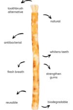 Natural Herbal Miswak stick/Datun Natural Toothbrush Sticks (Pack of 10 Soft Toothbrush/ | Manual - Image 4