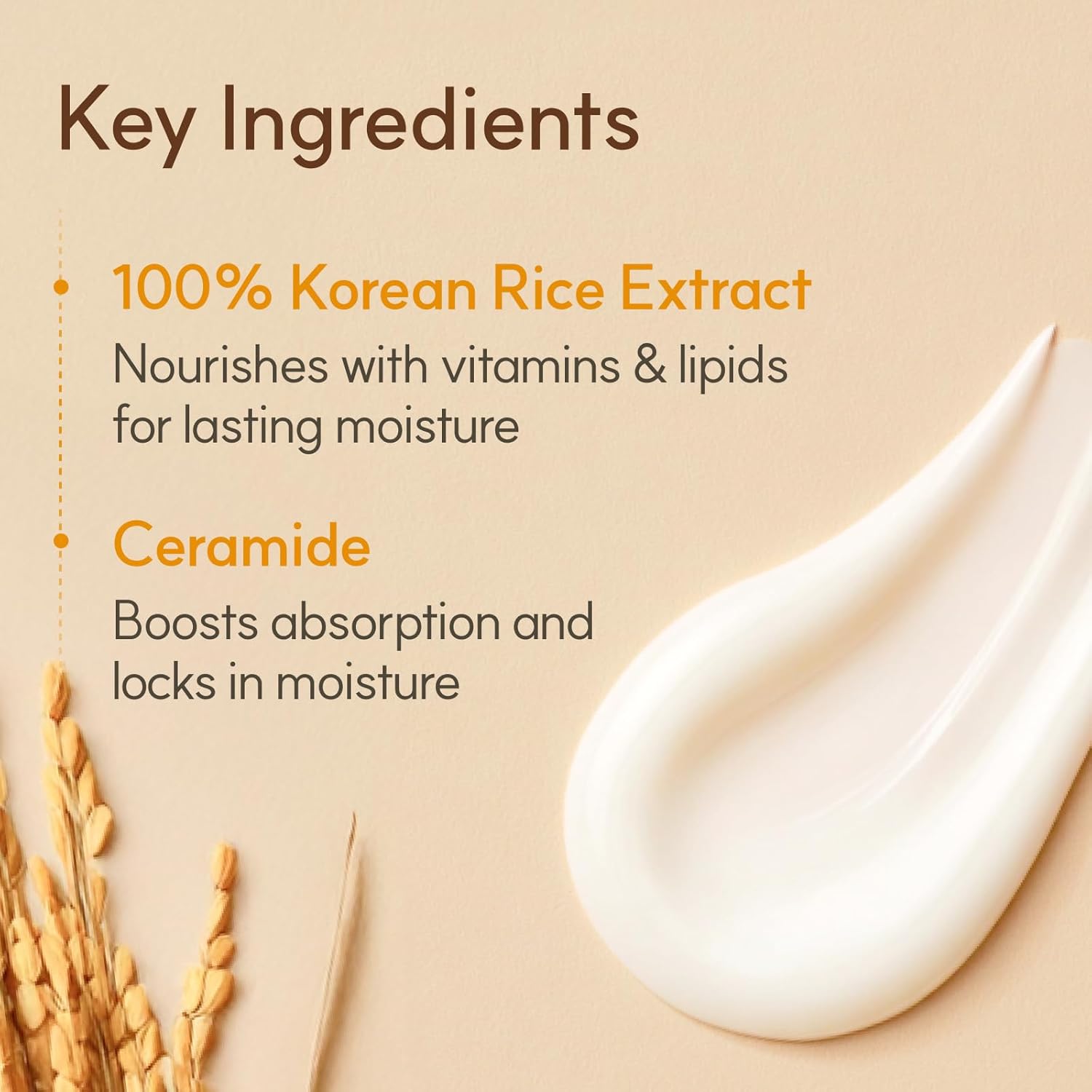 The Face Shop Rice & Ceramide Moisturizing Cream with Rice Extracts for Skin Brightening | Ceramide Moisturizer For Skin Barrier Repair | Paraben & Paraffins Free, Korean skin care products, 50ml - Image 5