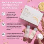 The Face Shop Rice&Ceramide Moisturizing Skincare And Cream Set, 75 Ml (Pack Of 3), Pink - Image 3