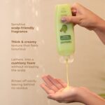 Naturali Australian Tea Tree Non-Drying Dandruff Defence Shampoo 370 ml | Removes Dandruff from Source | Soothes Itching, Irritation | Strong & Smooth Hair | For Men & Women | No Sulphate No Paraben - Image 4