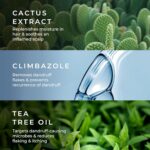 Naturali Australian Tea Tree Non-Drying Dandruff Defence Shampoo 370 ml | Removes Dandruff from Source | Soothes Itching, Irritation | Strong & Smooth Hair | For Men & Women | No Sulphate No Paraben - Image 5