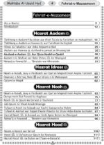 Qisas Ul Ambiya 1st Edition- Transliteration by Abu Arqam Tarique Usaid & Tarjuma: Maulana Ataaullah Sajid - Image 3