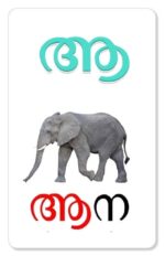 Malayalam Aksharamala Activity Flash Cards (32 Cards ) For Kids | Children Early Learning Malayalam Alphabets Flash Card - Image 4