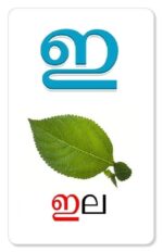 Malayalam Aksharamala Activity Flash Cards (32 Cards ) For Kids | Children Early Learning Malayalam Alphabets Flash Card - Image 5