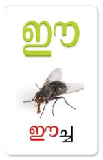 Malayalam Aksharamala Activity Flash Cards (32 Cards ) For Kids | Children Early Learning Malayalam Alphabets Flash Card - Image 6