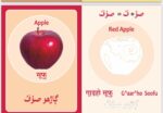 Advanced Sindhi Language Flash Cards - Image 5