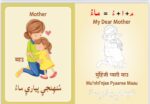 Advanced Sindhi Language Flash Cards - Image 9