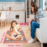 18 X 18 Inch Hand Made Kusha Grass Rectangular Aasan for Pooja (Multicolour) -Pack of 3(Madurkathi River Grass Sedge/Korai) - Image 4