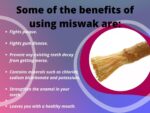 Natural Traditional Miswak (sewak) Peelu Chewing Stick Toothbrush for Whiter Teeth (20) - Image 4