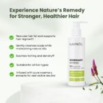 Rosemary Shampoo | 94% Stronger Hair | Enriched With Rosemary | Sulfate & Paraben Free | For Men & Women | 200 ML - Image 4