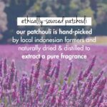 Love Beauty & Planet Onion, Black Seed & Patchouli Hairfall Control Natural Shampoo|No Sulfates,No Paraben|400ml - Image 4