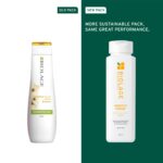 Biolage Smooth Proof Anti-Frizz Shampoo | Up to 72HR Frizz Control | With Camellia Oil & Glycerin | For Dry and Frizzy Hair | For Women and Men | Vegan & Cruelty-Free - Image 3