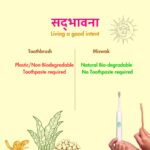 Natural Miswak Stick | Pack of 10 | Traditional Teeth Cleaning Twig | Organic Toothbrush/Toothpick - Image 6