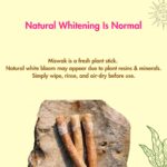 Natural Miswak Stick | Pack of 10 | Traditional Teeth Cleaning Twig | Organic Toothbrush/Toothpick - Image 7