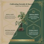 Green Aventurine Crystal Wooden Tree | Natural Luck & Prosperity Gemstone Bonsai with Wooden Base | Crystal Tree for Positive Energy | Good Luck Tree - Image 4