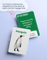 Flash Cards for Kids 2+ Years | 160 Non-Tearable Flash Cards Set | Alphabet, Numbers, Animals, Fruits, Vegetables, Flowers and Birds | Educational Toys for Toddlers and Preschool Learning - Image 5