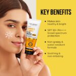 Dr. Sheth's Ceramide & Vitamin C Oil-Free Sunscreen SPF 50+ PA++++ |In-Vivo Tested | For Healthy & Bright Skin | Lightweight & Non Greasy | For UVA/UVB & Blue Light & IR Protection | No white cast | For Oily Skin | For Men & Women | 50 g - Image 4