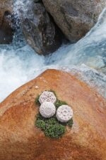 100% Apricot & Shea Butter Bath Soap | No Preservatives | Chemical Free | Highly Moisturising & Nourishing | Light Exfoliation | Unscented | Handcrafted Soap Bar |100 gms - Image 7