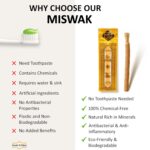 Pack of 12 Miswak Sticks Natural Toothbrush for Teeth Whitening, Oral Health & Fresh Breath, Siwak Stick Organic Wooden Vacuum Sealed Tooth Brush, Miswak Sticks for Teeth مسواك - Image 5