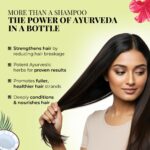 Just Herbs Castor and Black Onion Seed Sulfate Free Shampoo Reduce Hairfall,Hair Loss For Dry and Frizzy, Normal Hair Types Men & Women - 200ml - Image 4