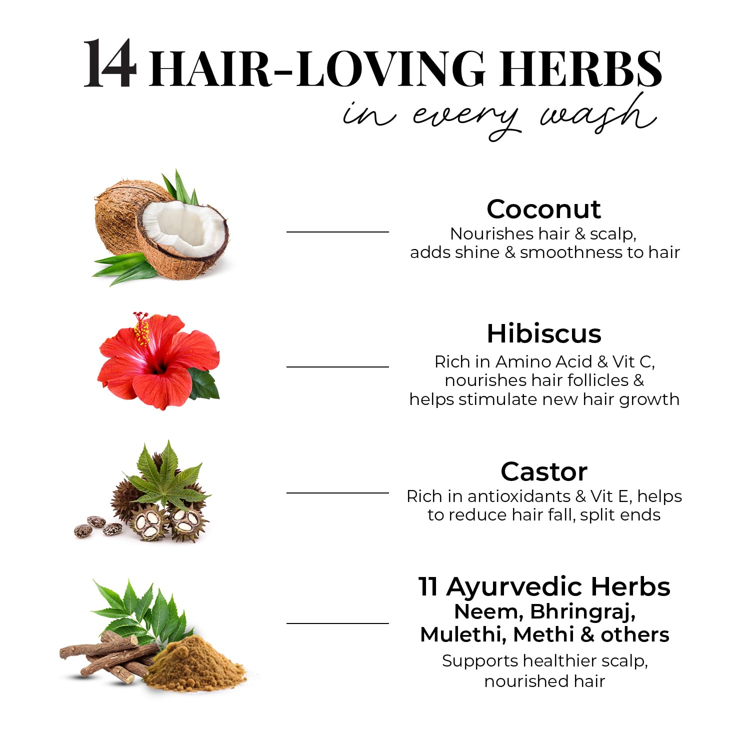 Just Herbs Castor and Black Onion Seed Sulfate Free Shampoo Reduce Hairfall,Hair Loss For Dry and Frizzy, Normal Hair Types Men & Women - 200ml - Image 5