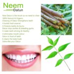 GOSHAN Neem Datun Sticks for Teeth | 100% Natural, Eco-Friendly & Organic Toothbrush | 15-Sticks - Image 6