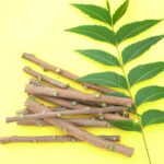 GOSHAN Neem Datun Sticks for Teeth | 100% Natural, Eco-Friendly & Organic Toothbrush | 15-Sticks - Image 7