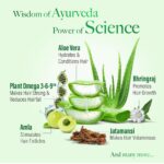 Kesh King Gold Anti Hairfall Shampoo, Reduces Hair Fall, Makes Hair Strong, Strengthens, Nourishes & Conditions, For Soft, Smooth & Voluminous Hair, For Men & Women, 1000 ml - Image 5