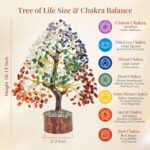 Crocon Seven Chakra Tree of Life for Positive Energy - Feng Shui Decor, Fake Bonsai, Crystals and Healing Stones, Money Tree, Room Decor 7 Chakra, Stone, Healing Crystals, Spiritual Gifts - Image 5