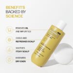 Bare Anatomy Oil Control Shampoo | Sulphate & Paraben Free | Reduces Excess Oil by Up to 100% | Salicylic Acid + Hyaluronic Acid + Tea Tree | Suitable for Oily Scalp & Dry Ends | For Women & Men | 236ml - Image 4