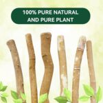 Datun Sticks for teeth Datun Miswak sticks Datwan | Datun Chew-Stick Traditional Teeth Cleaning Natural Stick Toothbrush Datun Sticks – Natural Miswak Stick Toothbrush (100% Organic & Herbal Oral Care) - Image 9