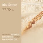 Original Korean Skincare Rice Toner, Milky Toners for Glowing Skin, Rice Water Korean, Glow Essence with Niacinamide, Hydrating for Dry, Dull, Combination Skin, Vegan, Fragrance Free, Glass Skin - Image 4