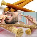 Natural Traditional Miswak/Sewak Peelu Chewing Stick Toothbrush Light Weight (Pack of 3) - Image 4