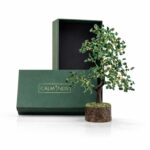 Green Aventurine Crystal Wooden Tree | Natural Luck & Prosperity Gemstone Bonsai with Wooden Base | Crystal Tree for Positive Energy | Good Luck Tree - Image 2